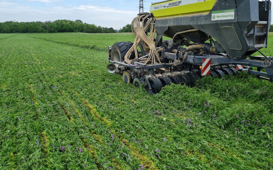 From soil health to farm resilience: Policy, finance and risk-sharing for scaling regenerative and conservation agriculture