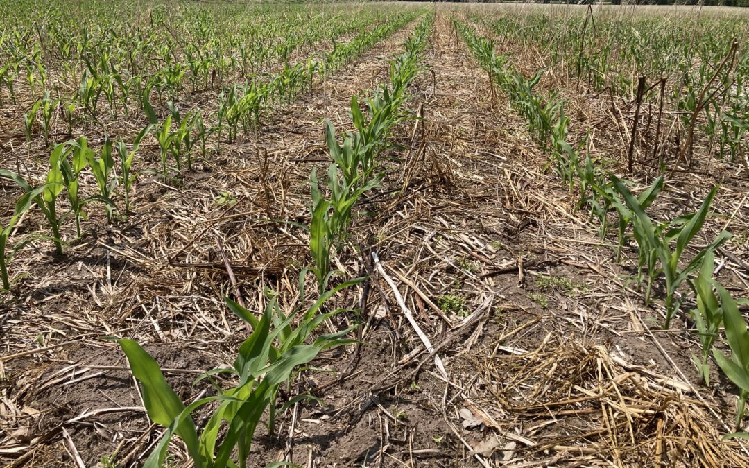 Soil MRV providers invited to take part in TRAILS4SOIL