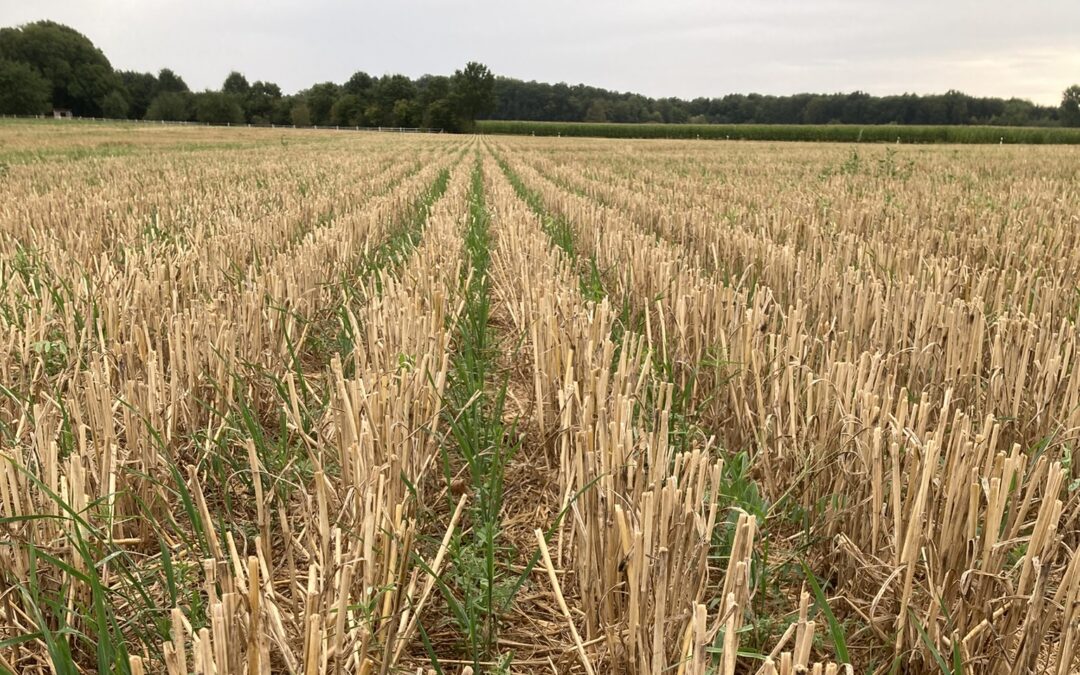 Strengthening the policy framework for Regenerative and Conservation Agriculture Practices – new policy brief