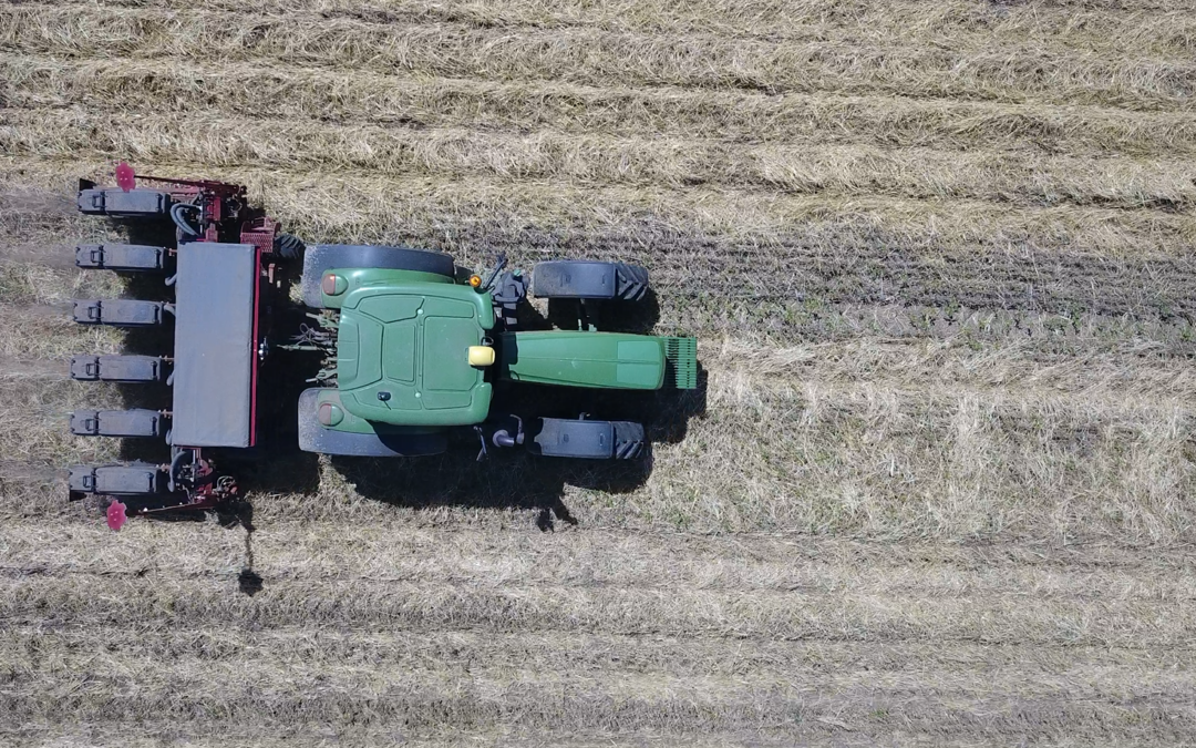 Regenerative and Conservation Agriculture: what’s the difference?
